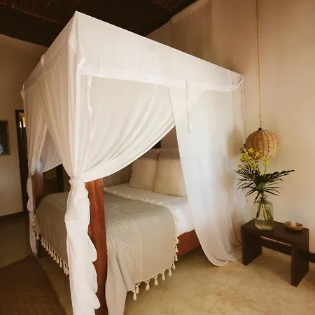 Hotel Casa Violeta
