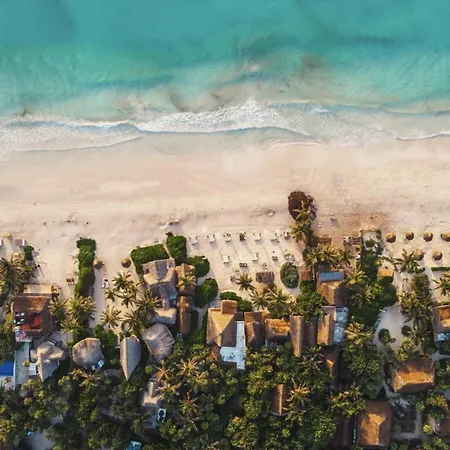Casa Violeta Hotel Tulum