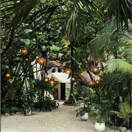 Hotel Casa Violeta 3*