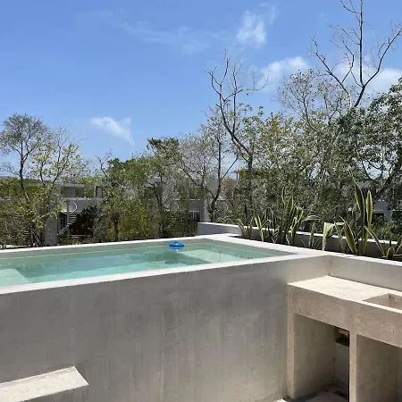 Refugio En La Selva