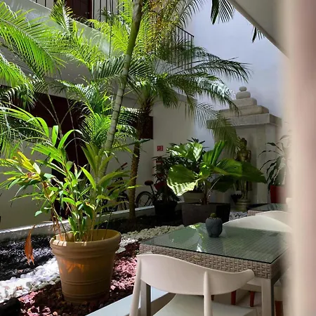 Zendero Hotel Tulum