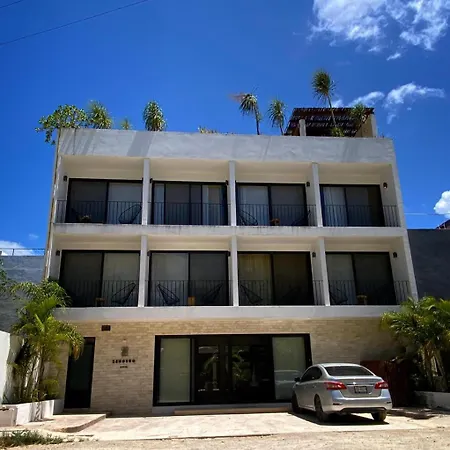 Zendero 4*