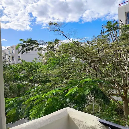 New Bamboo Palma Pool And Relaxation