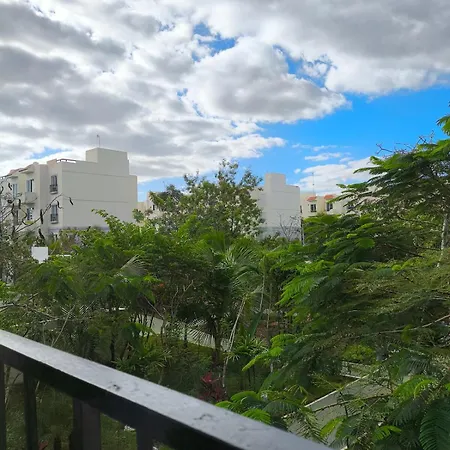 New Bamboo Palma Pool And Relaxation Apartamento *