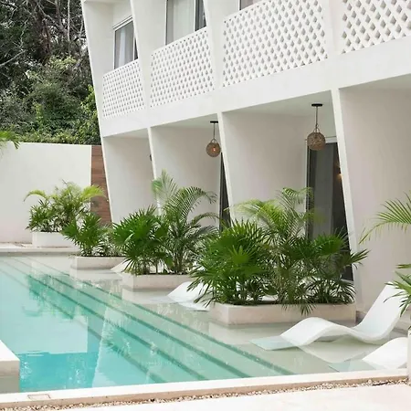 Apartamento Ideal For Digital Nomads Tulum