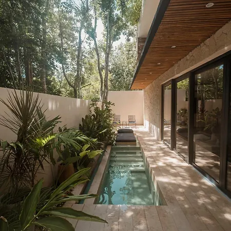 Ka'ana