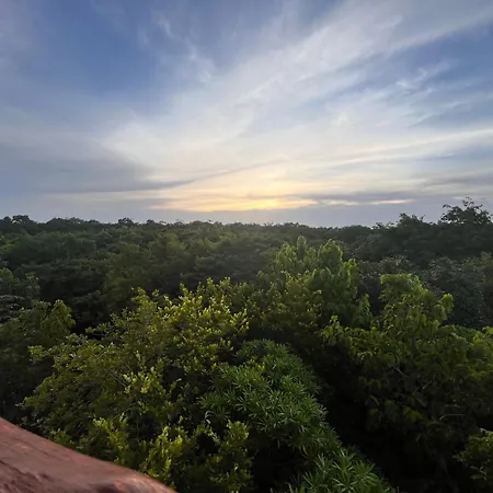 Curandero Tulum