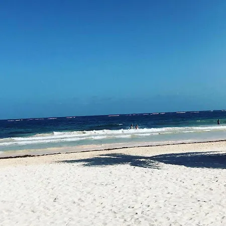 Apartment Spacious Penthouse With Private Rooftop & Jacuzzi Tulum