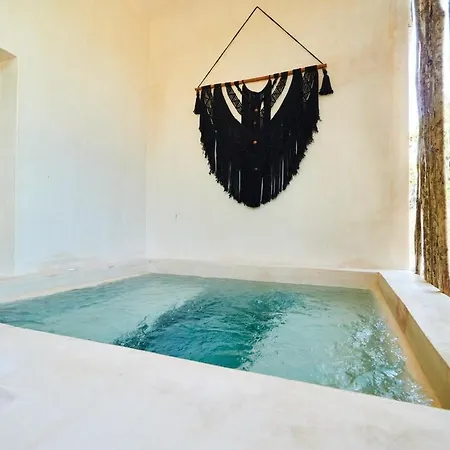 Moderna Casa De 3 Con Piscina Privada * Tulum