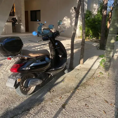 Apartment Ph 3 Quarts Terrace And Private Pool Az Premium Tulum