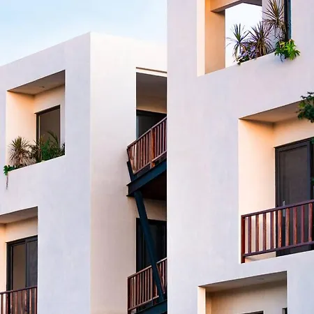 Spacious In The Paradise Of * Tulum