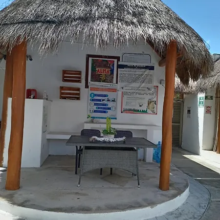 Deptos Alma *