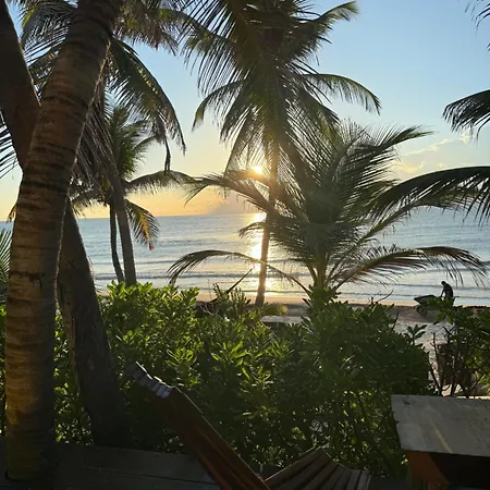 Hotel Libelula Beachfront 4*