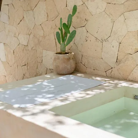 Tropical Retreat: Scooters, Hot Tub, Pool, Projector Apartment *