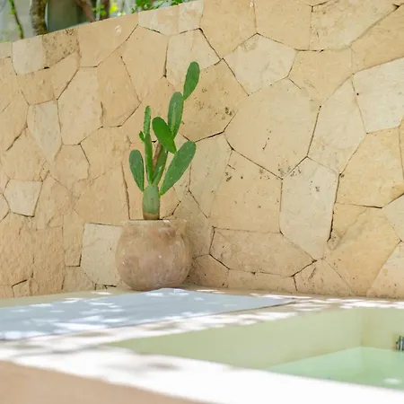 Tropical Retreat: Scooters, Hot Tub, Pool, Projector Tulum