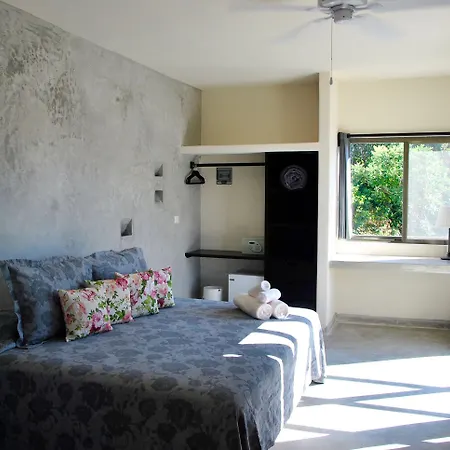 Hotel Boutique 06 (adults Only)