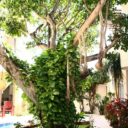 Hotel Boutique 06 (adults Only) 3*