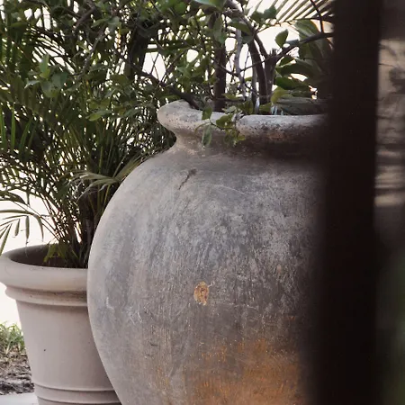 Hotel Boutique 06 (adults Only) Tulum