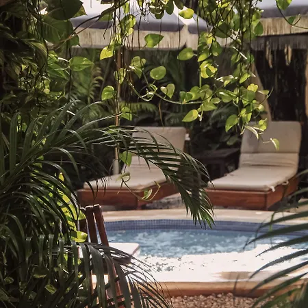 Boutique 06 (adults Only) 3* Tulum