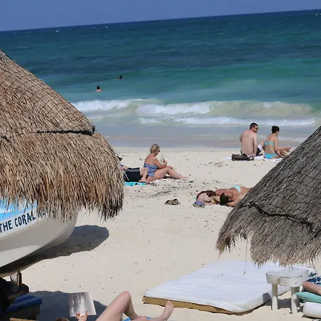 Punta Piedra