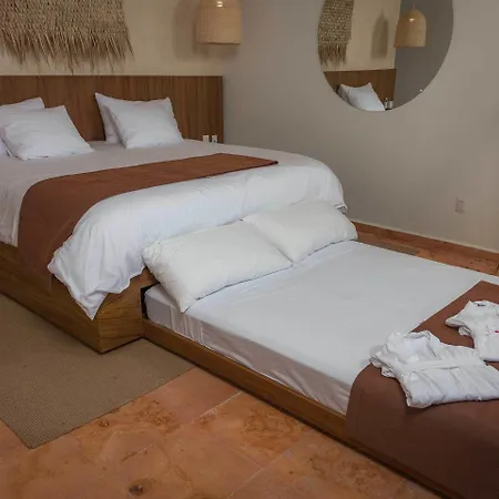 Hotel Mereva 4*