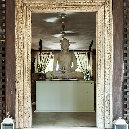 Hotel Jashita Hotel (Adults Only)