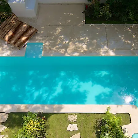 Livetulum 4*