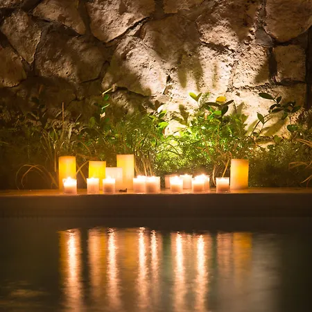 Livetulum 4*