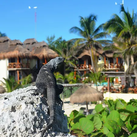 Piedra Escondida Tulum