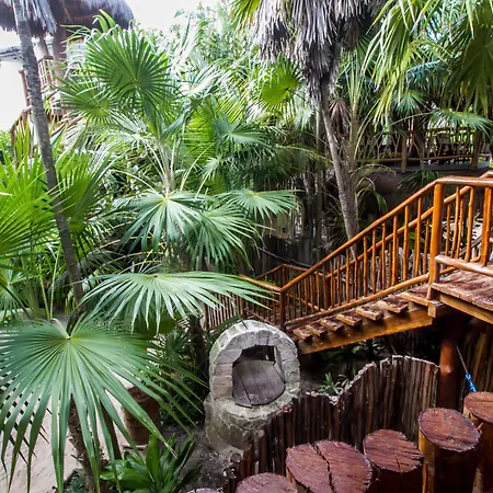Playa Canek Beachfront Eco Hotel Hotel