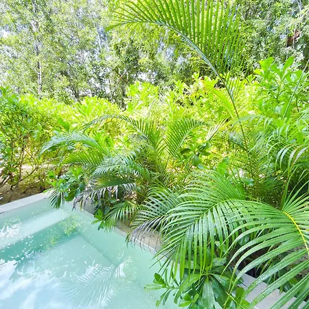 Private Pool New King Bed Wifi 303 Apartment
