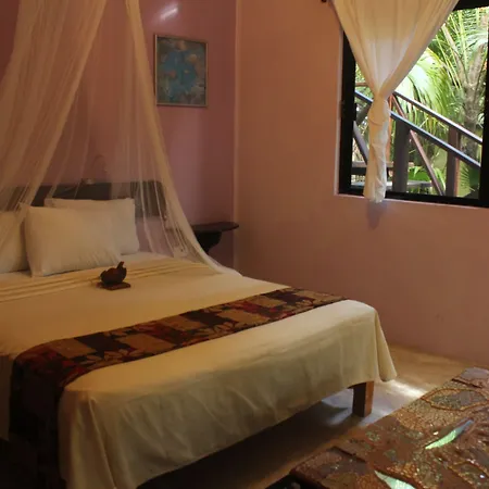 Nueva Vida De Ramiro Tulum