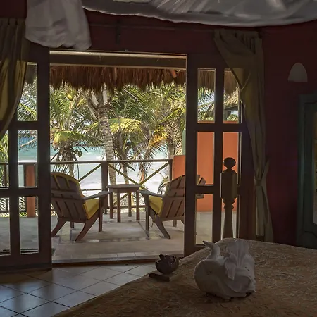 Nueva Vida De Ramiro Tulum