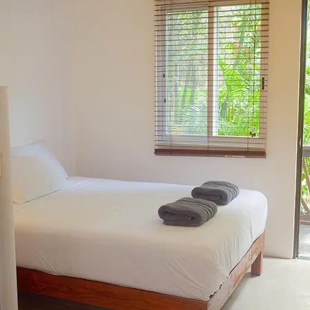 Mango 3*