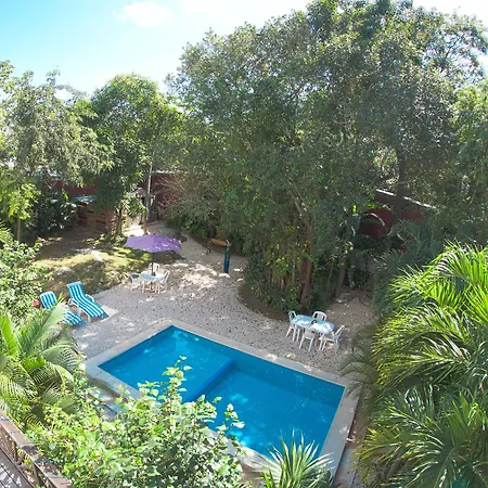 Hotel Mango 3*