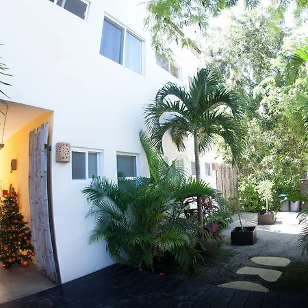 Mango Tulum