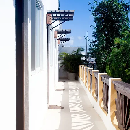 Hotel Mango 3*
