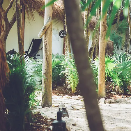 Our Habitas - Adults Only