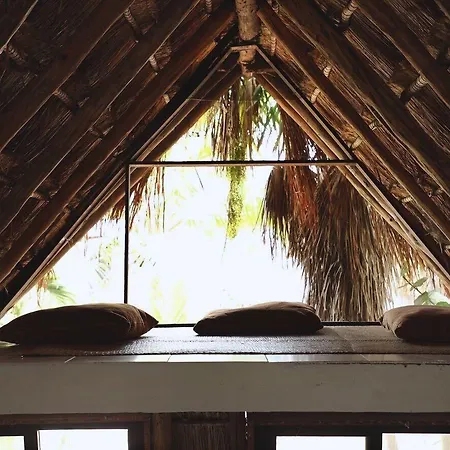 Aparthotel Tuup Jungle