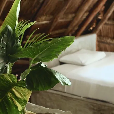 Aparthotel Tuup Jungle