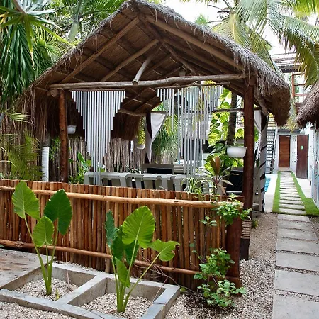 Tuup Jungle