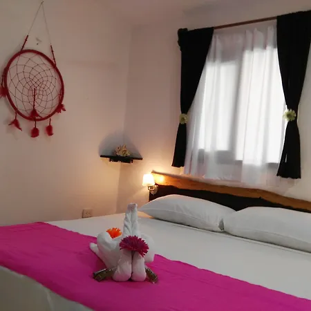 Pacha Boutique 4*