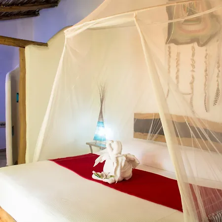 Hotel Pacha Boutique