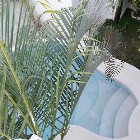 Pacha Boutique Hotel Tulum