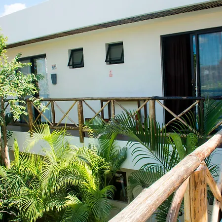 Hotel Pacha Boutique 4*