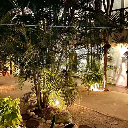 Pacha Boutique Hotel Tulum