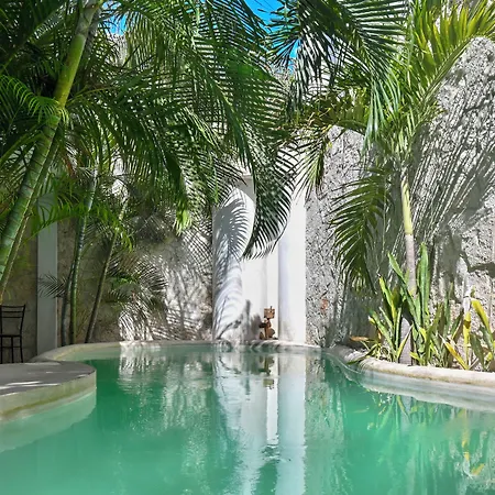 Pacha Boutique 4*