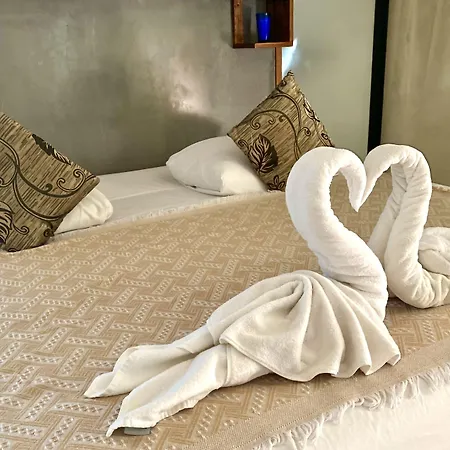 Hotel Pacha Boutique 4*