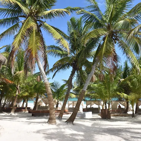 Alquimia Boutique 4* Tulum