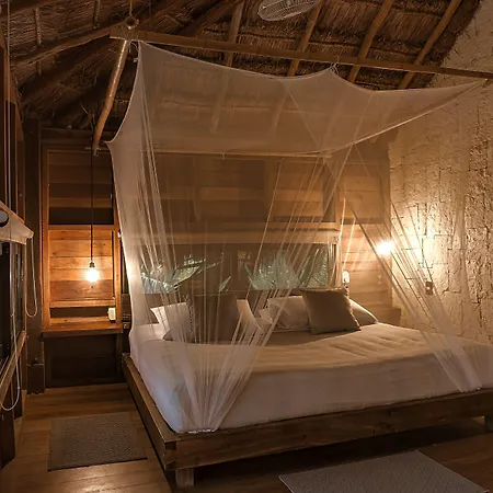 Vida Silvestre * Tulum